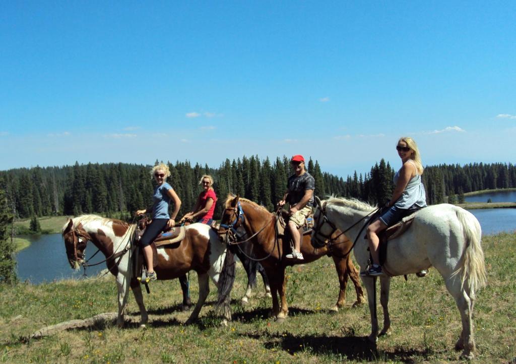 Hotchkiss Inn Motel Екстериор снимка